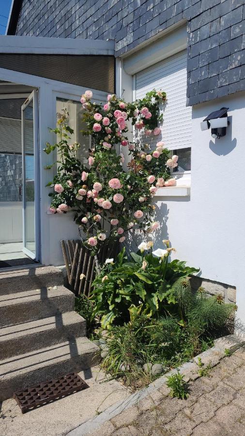 Maison 2 Chambres Spa Centre Ville Spa Quimper Exterior photo